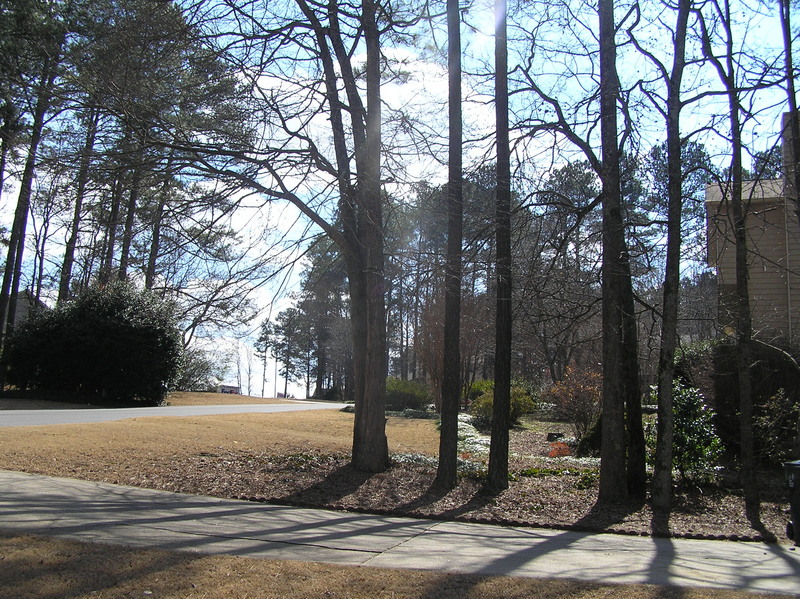 View to the south from the confluence point.