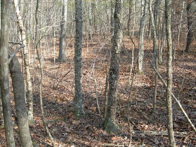 The confluence point is in the foreground.