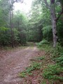 #5: It is an easy walk from the tracks to the confluence down this road/trail.