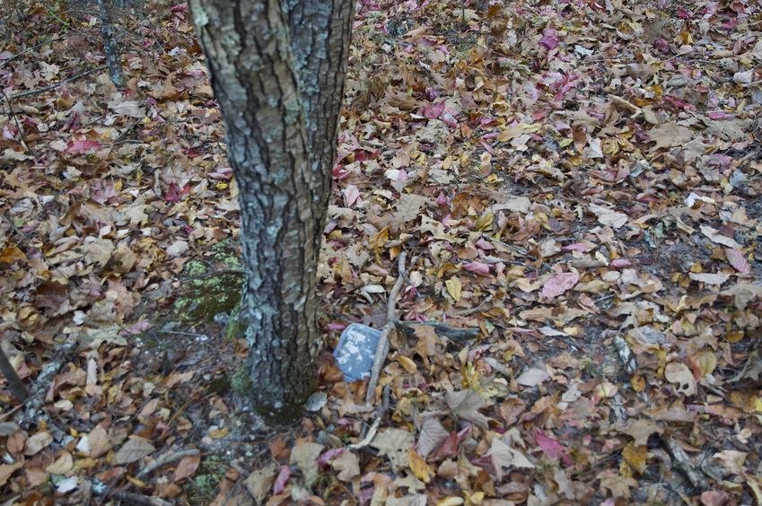 The confluence point lies in a forest, just off a doubletrack path.  (A 'geocache' box - at the base of a tree - marks the point.)