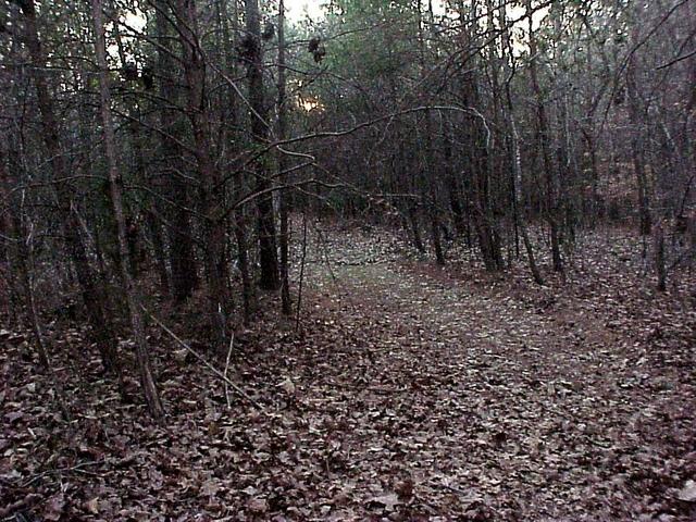 Looking west on trail from a point 4 meters north of the confluence.