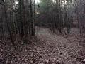 #2: Looking west on trail from a point 4 meters north of the confluence.