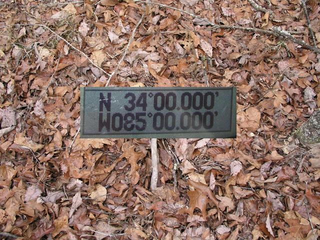 Groundcover with ten zero GPS insert