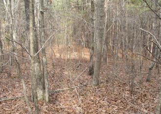 #1: 34N85W - in the woods NE of Polk County's Signal Mountain