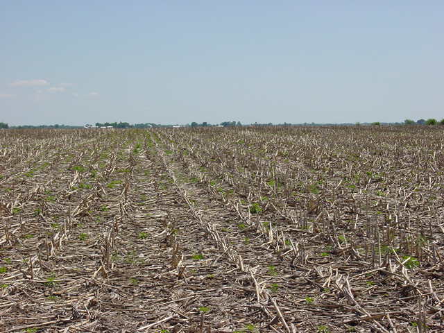 Looking South From Confluence