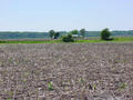 #4: Looking West From Confluence