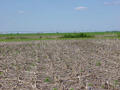 #5: Looking North From Confluence