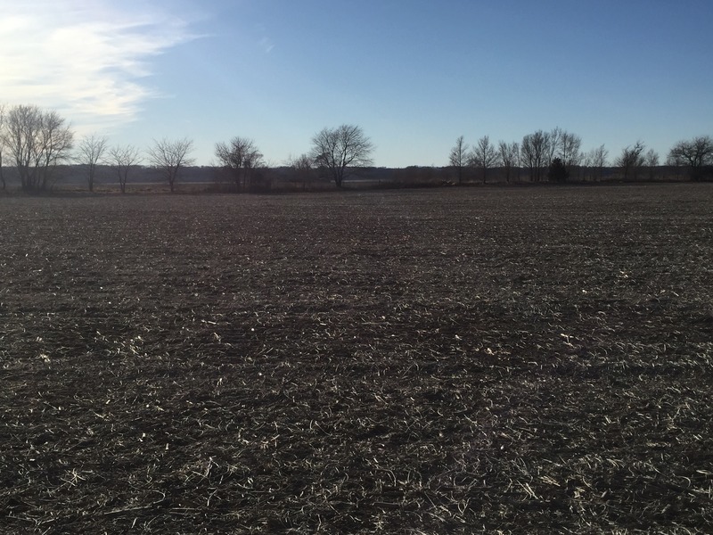 View to the west from the confluence.