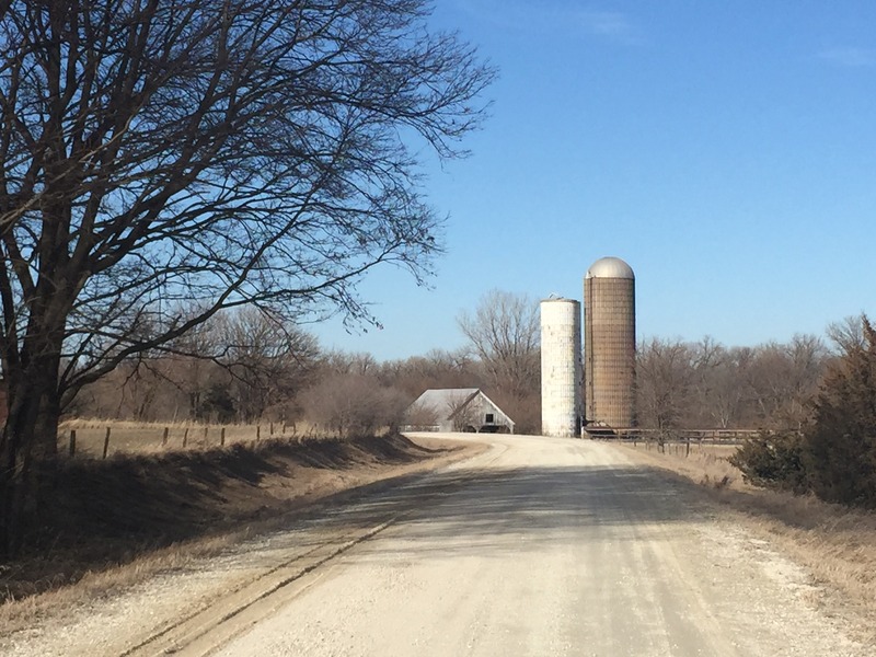 Nearest road to the confluence, about 1 km east, looking northeast.