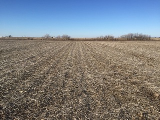 #1: Site of 41 North 91 West, in foreground, looking north-northwest.