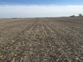 #6: View to the south from the confluence.