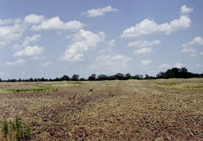 Approaching the confluence from the west.