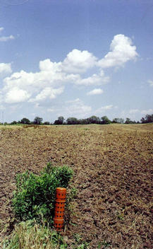 #1: Orange pipe on the confluence, view to the east.