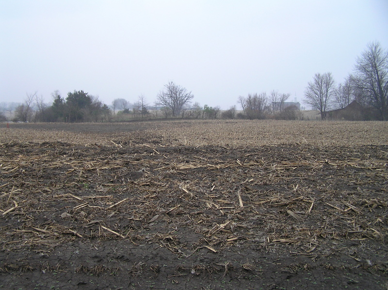 Corn cobs from last season dot the foreground of the view to the south from the confluence.