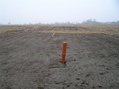 #5: View due east, showing the "confluence marker" that just happens to be about 6 meters east of the confluence.