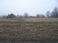 #7: Corn cobs from last season dot the foreground of the view to the south from the confluence.