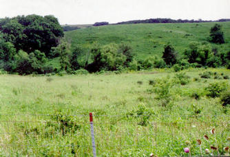 #1: View of the confluence, looking south.  Confluence is straight ahead, 20 meters.