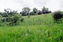 #3: View to the north at the confluence