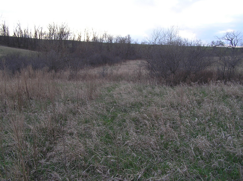 View to the north from the confluence.