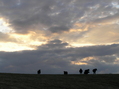 #9: My favorite confluence photo, taken 450 m north of the confluence, looking west.