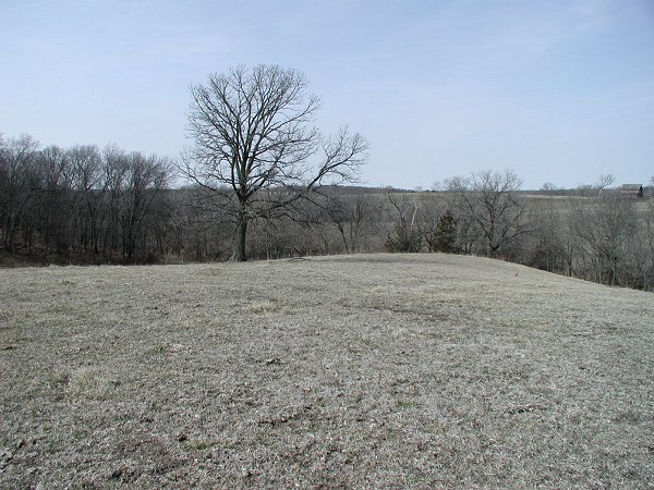 Area of the confluence