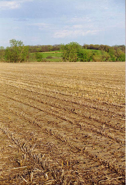 Facing Southeast from the confluence