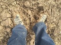 #9: Muddy shoes at the confluence point.