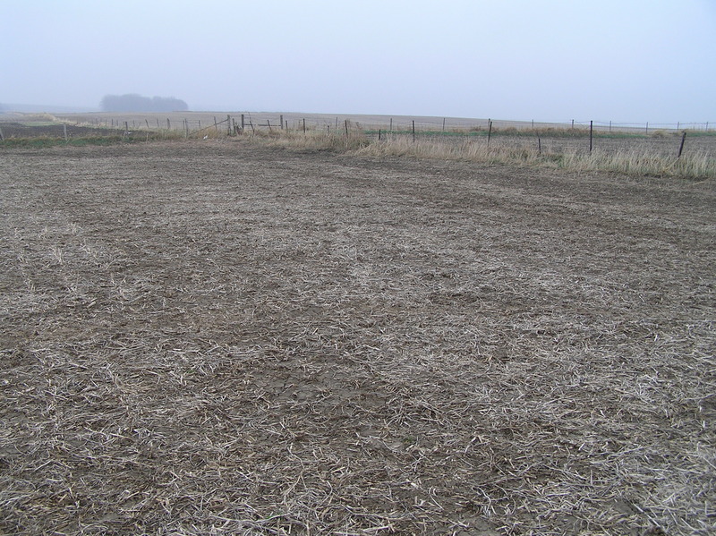 The confluence of 42 North 92 West, in the foreground, looking southeast at the junction of the four fences.