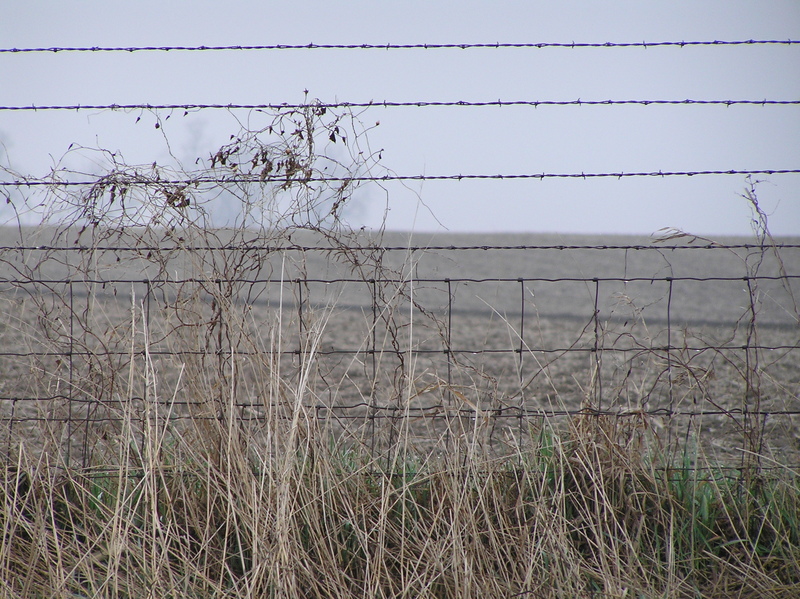 Moody image of nearest fence to the confluence; 15 meters south of the confluence.