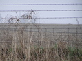 #8: Moody image of nearest fence to the confluence; 15 meters south of the confluence.