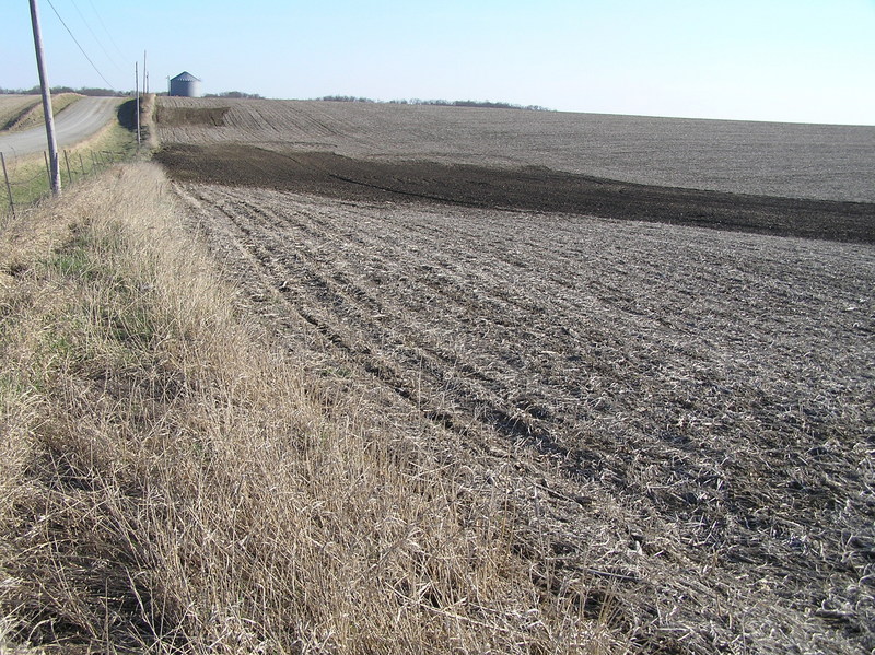 The confluence of 42 North 93 West lies in the left foreground of this photograph, looking south-southwest.