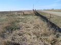 #5: View to the north from the confluence.