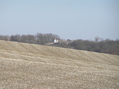 #8: View to the southeast from the confluence.