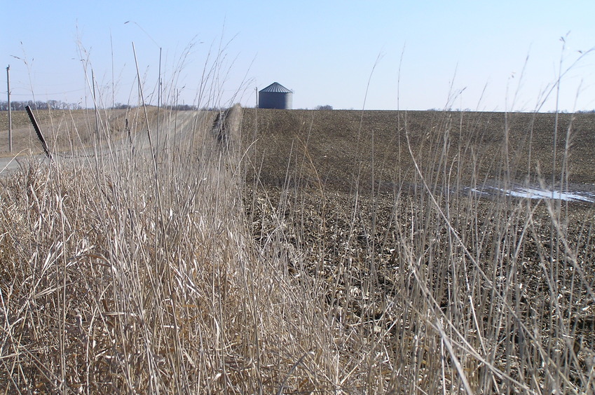 View to the south from the confluence.