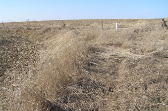 #1: The site of 42 North 93 West, in the foreground, looking north-northwest.