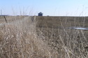 #7: View to the south from the confluence.