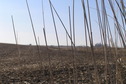 #8: Scenic view to the west from the confluence point.