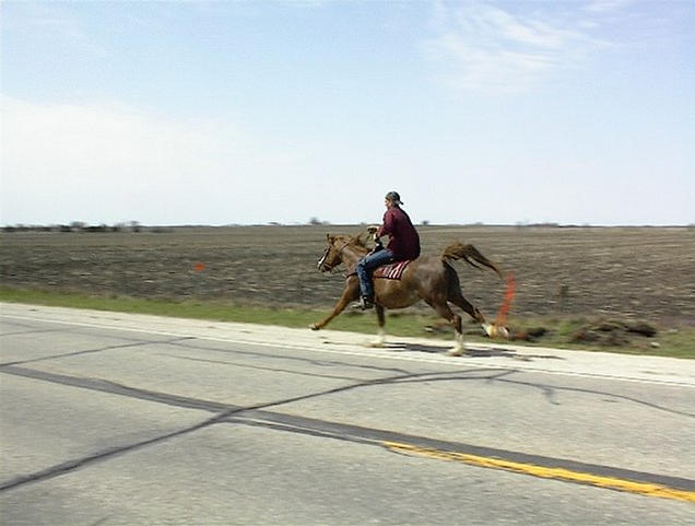 Pony Express Rider