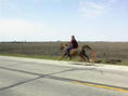 #2: Pony Express Rider