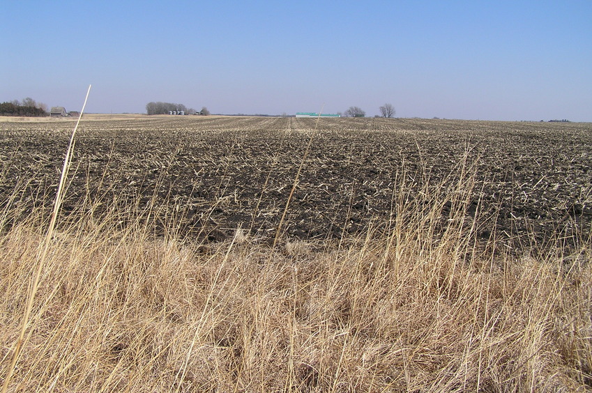 View to the east from the confluence.