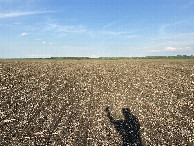 #5: View to the east from the confluence point. 