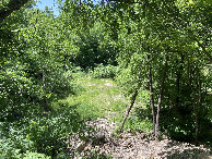 #9: View of the confluence site from the top of the quarry. The confluence lies in the right part of the grove of trees in the distance. 