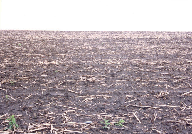 Looking north.  eMap on the ground