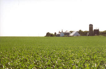 #1: Looking South from confluence toward farm buildings.