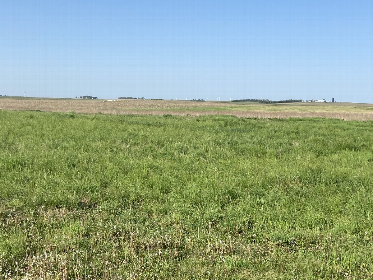 View of confluence point in the distance from the driveway.