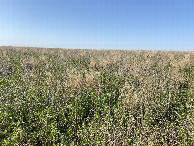 #2: Looking north from the confluence point. 