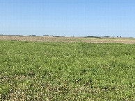 #9: View of confluence point in the distance from the driveway.