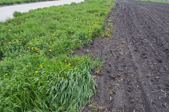 #1: The confluence point still lies in a field - just next to a paved cul-de-sac (with no homes yet!)