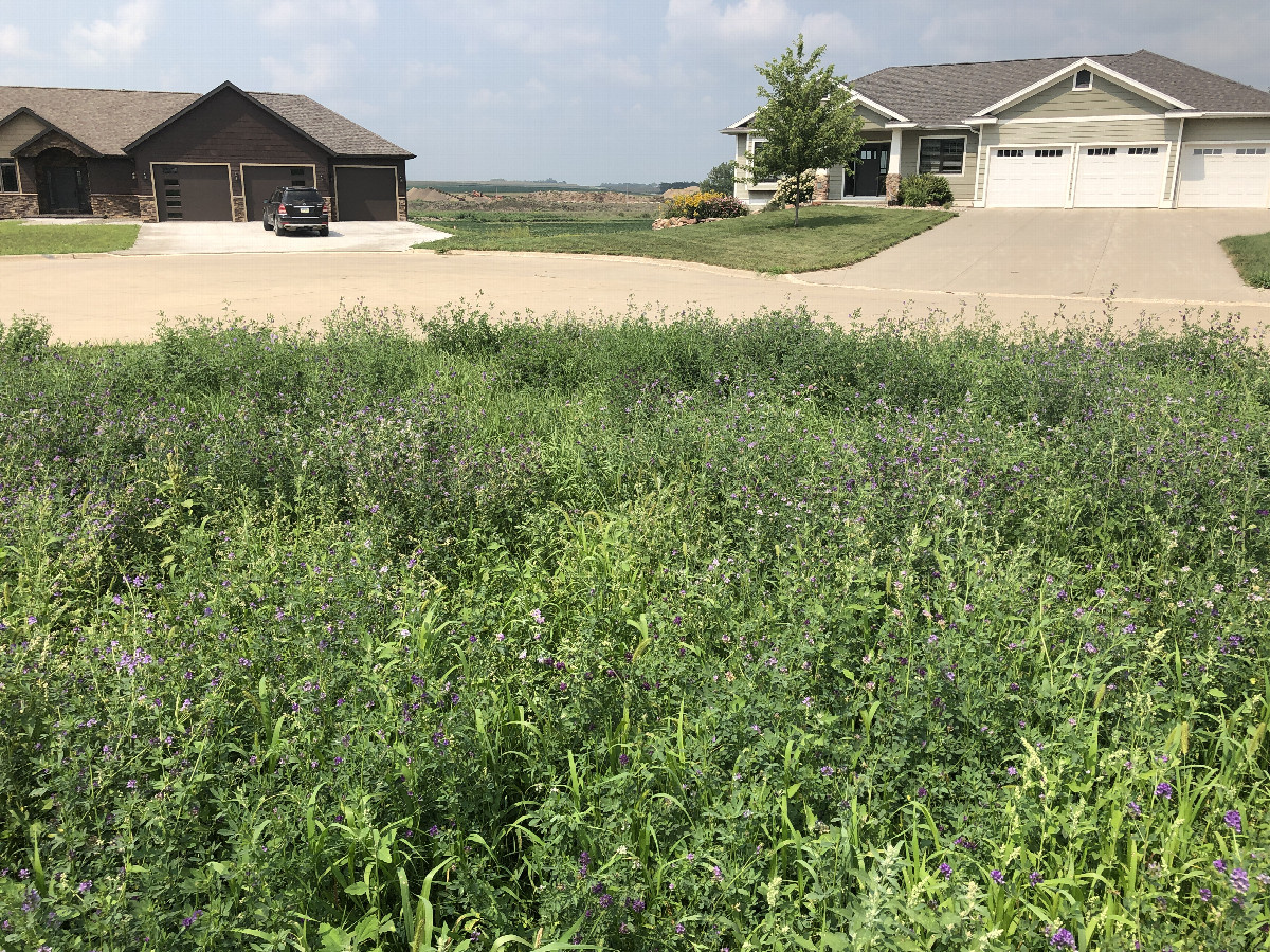 A confluence in the Prairie's Edge Development