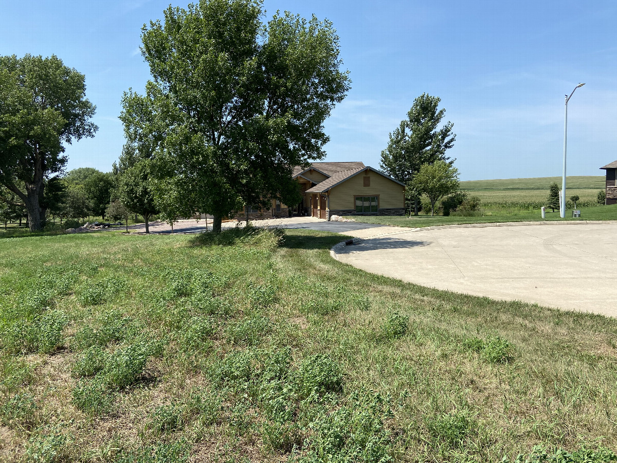 View to the west from the confluence point. 